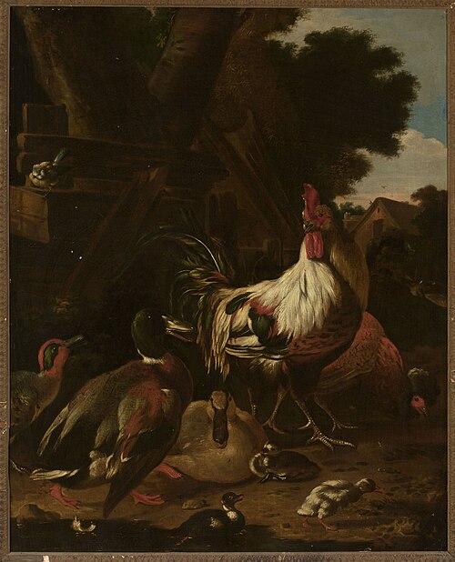 Rooster and ducks, , Melchior de Hondecoeter