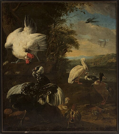 Domestic fowls, , Melchior de Hondecoeter