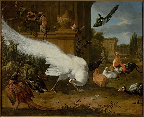 Fowls and a white peacock, , Melchior de Hondecoeter