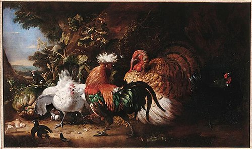 Oiseaux de basse-cour, 1660, Melchior de Hondecoeter
