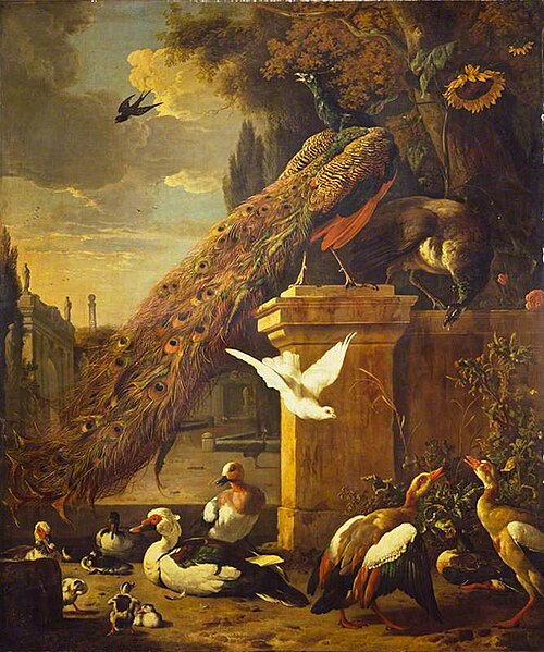 Peacocks and Ducks, 1680, Melchior de Hondecoeter