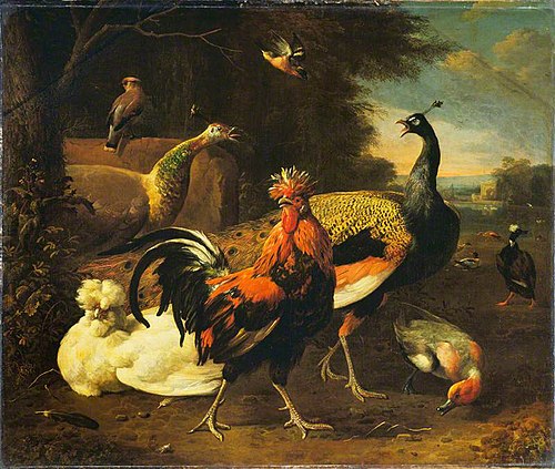 A Cockerel with Other Birds, 1680, Melchior de Hondecoeter