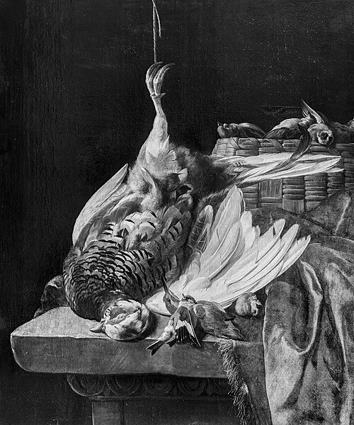 Still life with turkey, 1675, Melchior de Hondecoeter