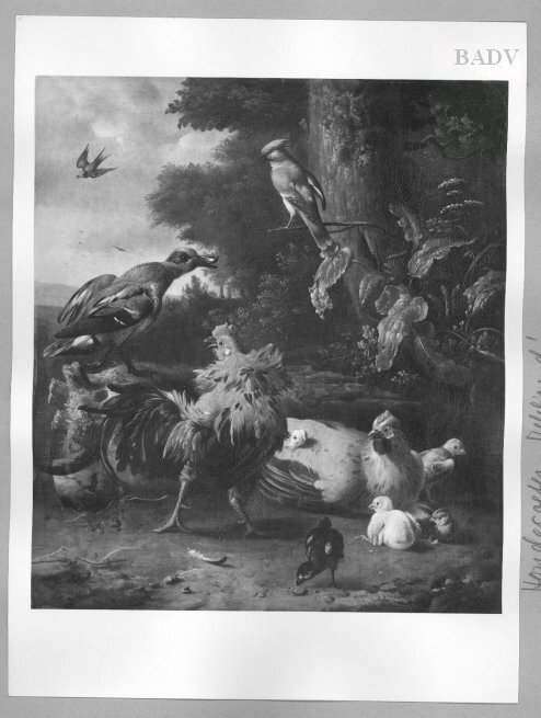 cock, hen and other birds, 1672, Melchior de Hondecoeter