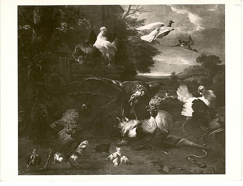 Hühnerhof mit einfallendem Bussard, der einen Hahn schlägt, 1661, Melchior de Hondecoeter