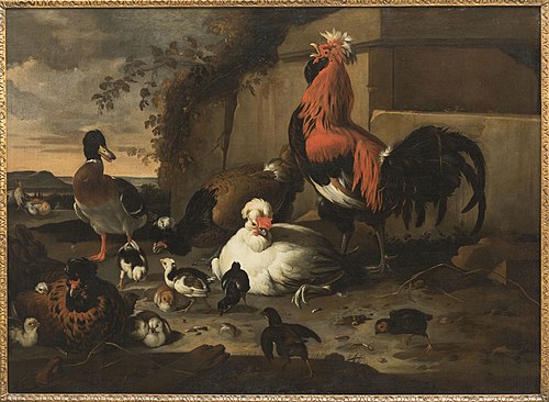Pluimvee, 1680, Melchior de Hondecoeter