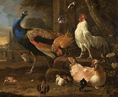 Poultry, 1682, Melchior de Hondecoeter
