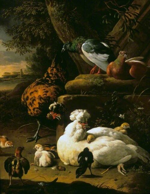 A Hen with Chicks, a Rooster and Pigeons in a Landscape, 1670, Melchior de Hondecoeter