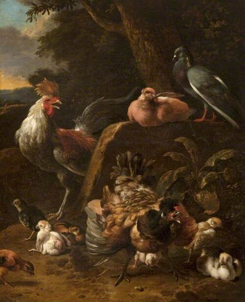 Poultry and Pigeons, , Melchior de Hondecoeter