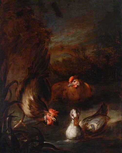 Poultry, , Melchior de Hondecoeter