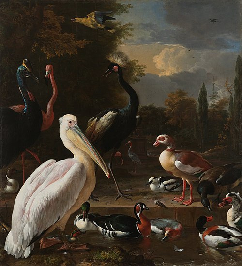 La plume flottante, 1680, Melchior de Hondecoeter