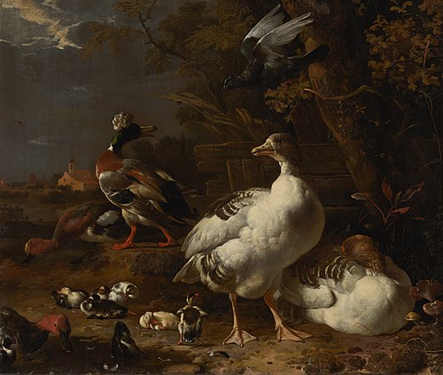 Oies et canards, 1680, Melchior de Hondecoeter