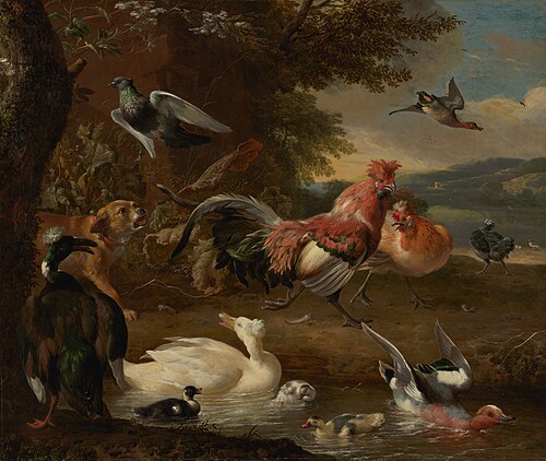 Poules et canards, 1675, Melchior de Hondecoeter