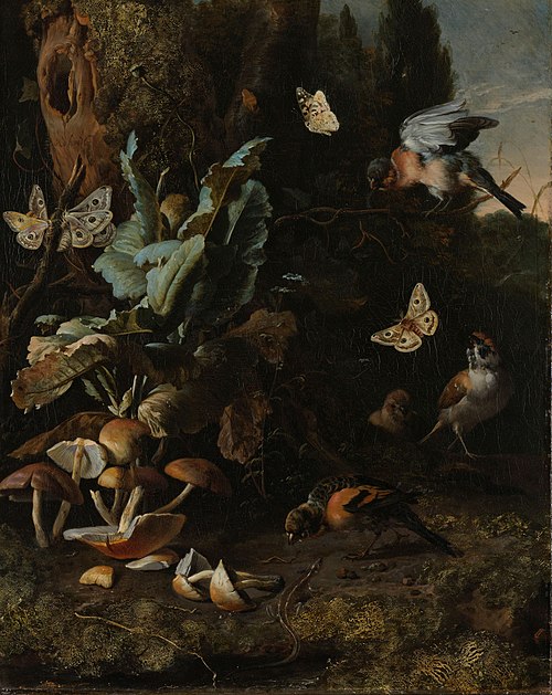 Animals and plants, 1668, Melchior de Hondecoeter