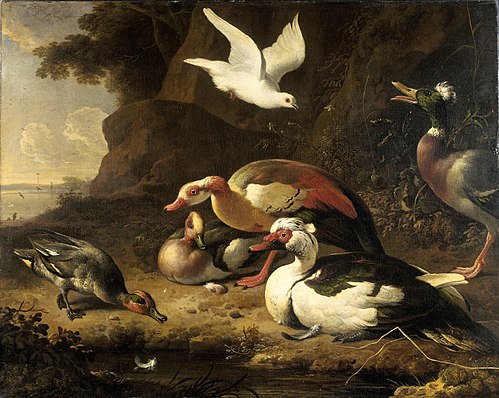 Ducks, 1677, Melchior de Hondecoeter
