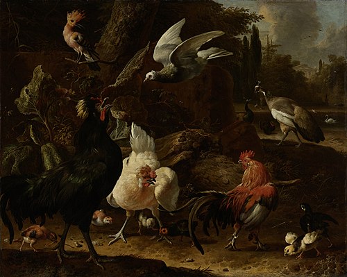 Birds in a park, 1686, Melchior de Hondecoeter