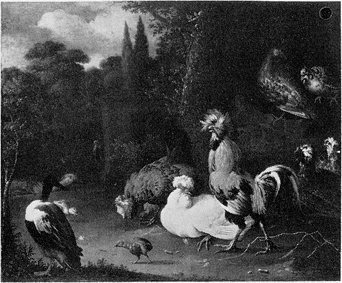 Poulets et canards dans un parc, 1677, Melchior de Hondecoeter