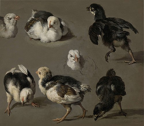 Sept poussins, 1666, Melchior de Hondecoeter