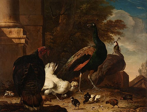 A Hen with Peacocks and a Turkey, 1680, Melchior de Hondecoeter