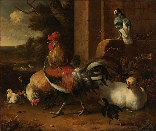 A poultry yard, 1660, Melchior de Hondecoeter