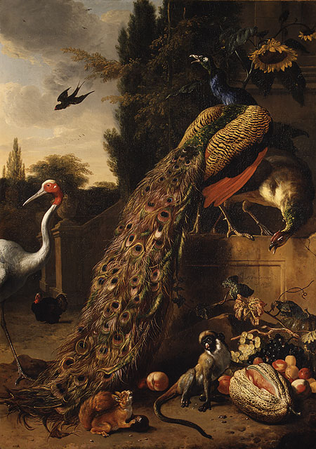 Peacocks, 1683, Melchior de Hondecoeter