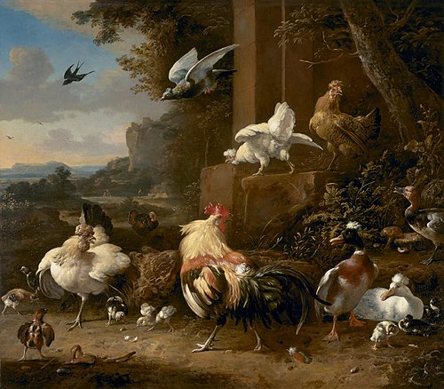 The poultry yard, 1690, Melchior d'Hondecoeter