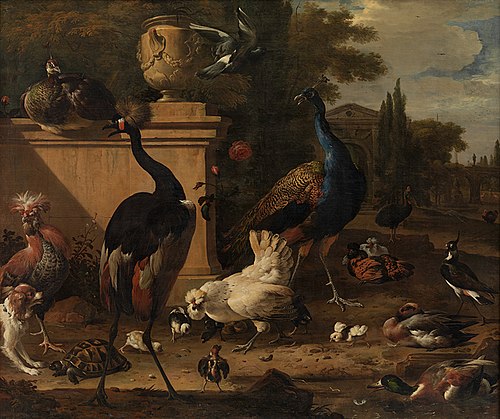 Hen Run at a Manor, 1673, Melchior d'Hondecoeter
