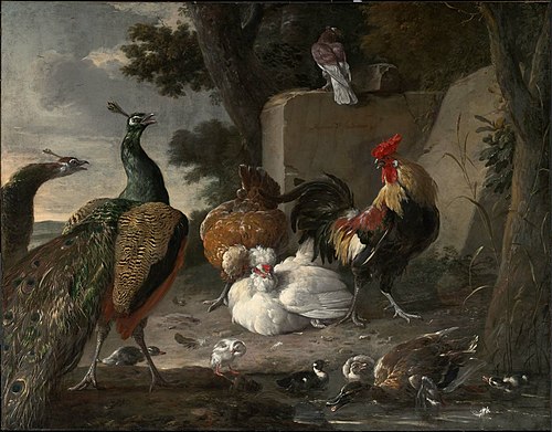 Barnyard Fowl and Peacocks, 1665, Melchior d'Hondecoeter