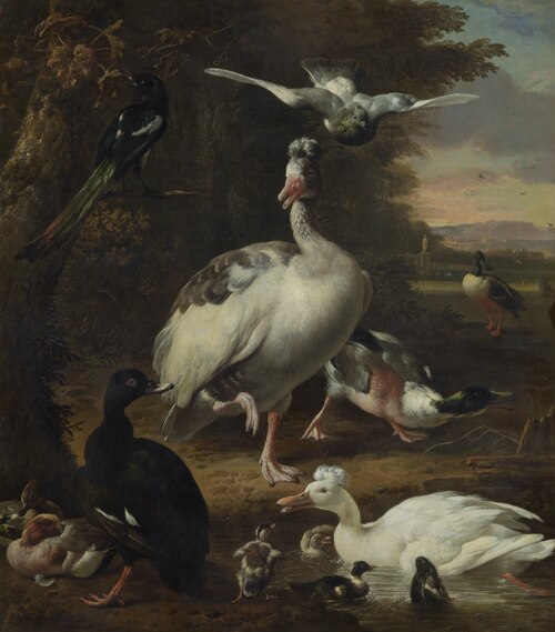 Birds, 1664, Melchior d'Hondecoeter