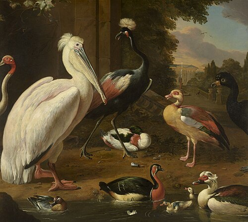 Waterfowl, Melchior de Hondecoeter, , Melchior d'Hondecoeter