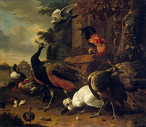 Birds in a Park, 1686, Melchior d'Hondecoeter