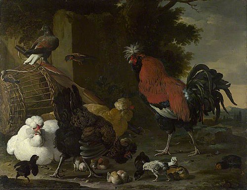 A Cock, Hens and Chicks, 1669, Melchior d'Hondecoeter
