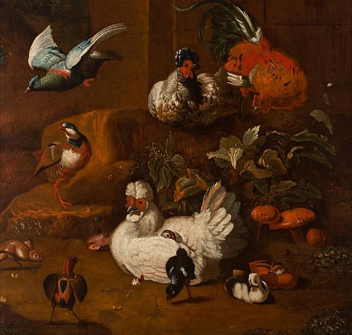 A Gathering of Birds, , Melchior d'Hondecoeter