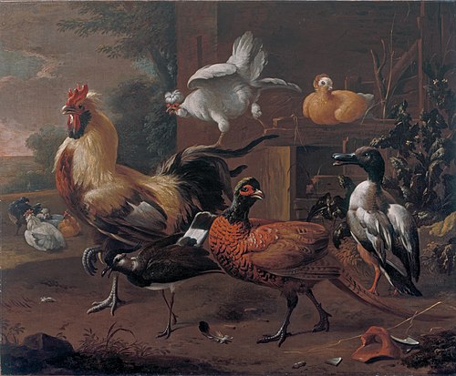 Poultry-yard, 1650, Melchior d'Hondecoeter