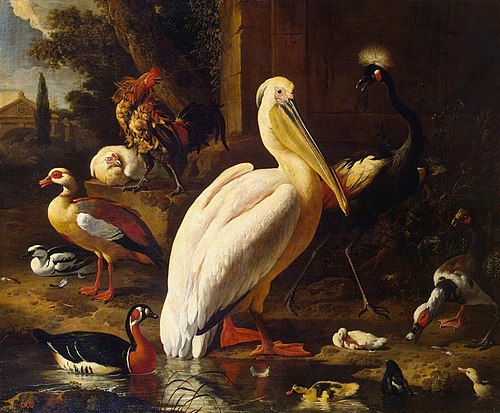 Birds in a Park, 1686, Melchior d'Hondecoeter