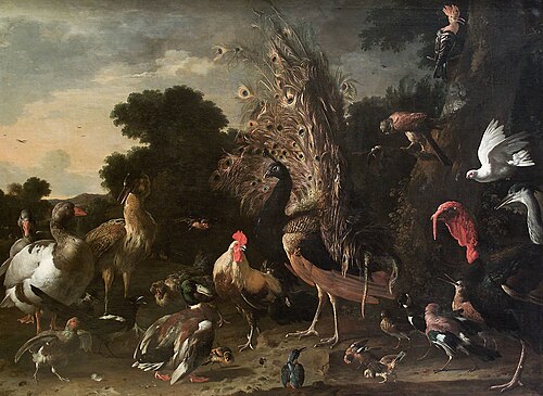 Geflügelhof, , Melchior d'Hondecoeter