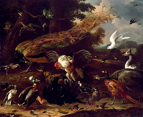 The Crow Exposed, , Melchior d'Hondecoeter