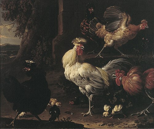 hen yard, 1680, Melchior d'Hondecoeter