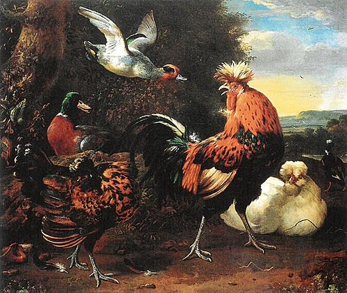 Poultry, 1690, Melchior de Hondecoeter