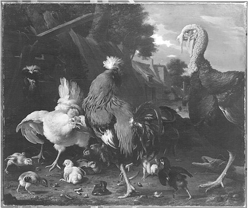 A turkey, chickens and quails in a farmyard, 1665, Melchior d'Hondecoeter