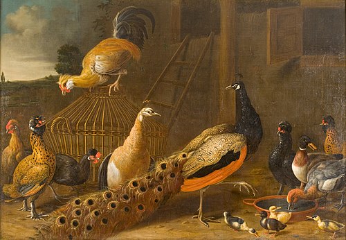 Hoenderhof, , Melchior d'Hondecoeter