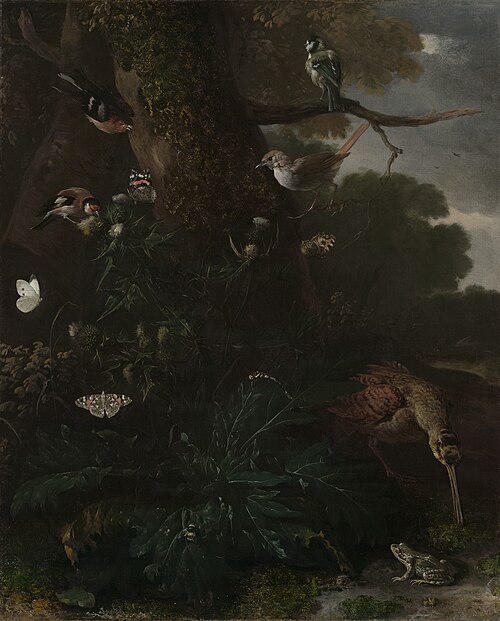 Animals and Plants of the Forest, 1675, Melchior d'Hondecoeter