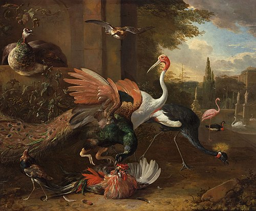A Peacock Attacking a Rooster, 1670, Melchior d'Hondecoeter