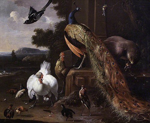 Peacocks and Farmyard Fowls with a Magpie in a Landscape, 1675, Melchior de Hondecoeter