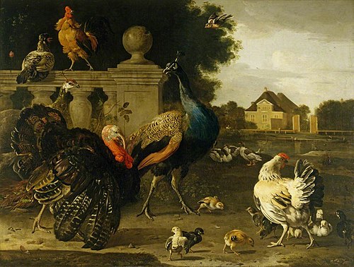 A Turkey Cock and other Birds in a Garden, 1672, Melchior de Hondecoeter