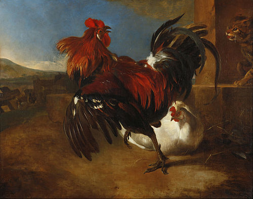 Poultry-yard with angered cock, 1658, Melchior d'Hondecoeter