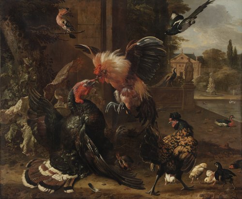 A Rooster and Turkey Fighting, 1680, Melchior d'Hondecoeter