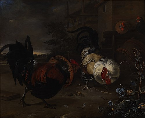 Cocks Fighting, 1663, Melchior d'Hondecoeter