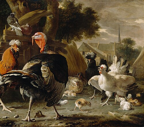 Poultry Yard, 1668, Melchior d'Hondecoeter