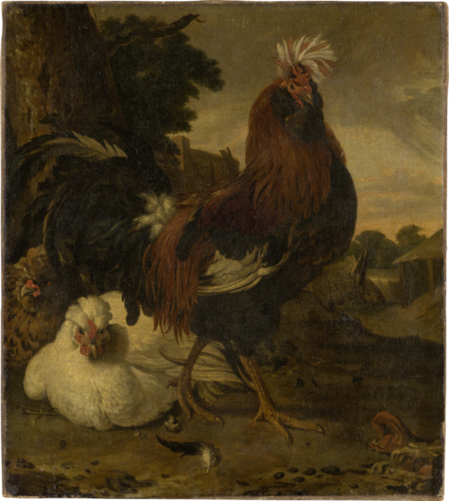 Cock in a Barnyard, , Melchior d'Hondecoeter